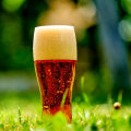 How to Brew Your Own Vienna Lager at Home
